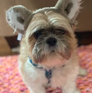 Meet your Posher, Renita